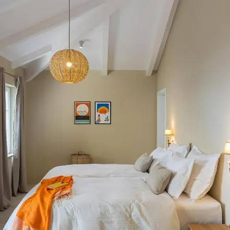 فيلة Rudavista *