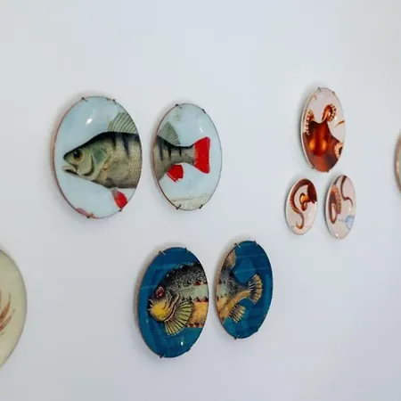 فيلة Rudavista Brsečine